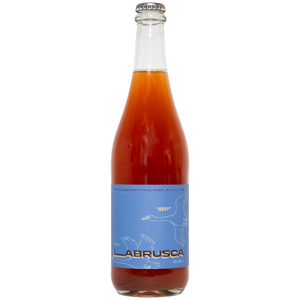Bon Sang! 2025 Bevy